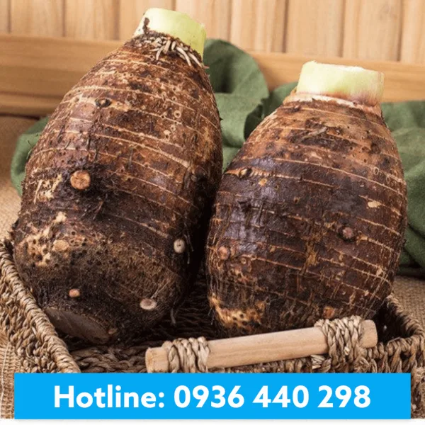 Hương Khoai Môn - Taro Flavor