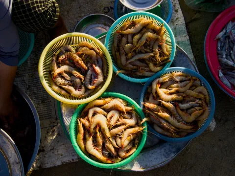 Tôm tươi trong rổ tại chợ