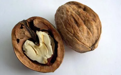 Thực phẩm hỗ trợ phổi của bạn khỏe mạnh